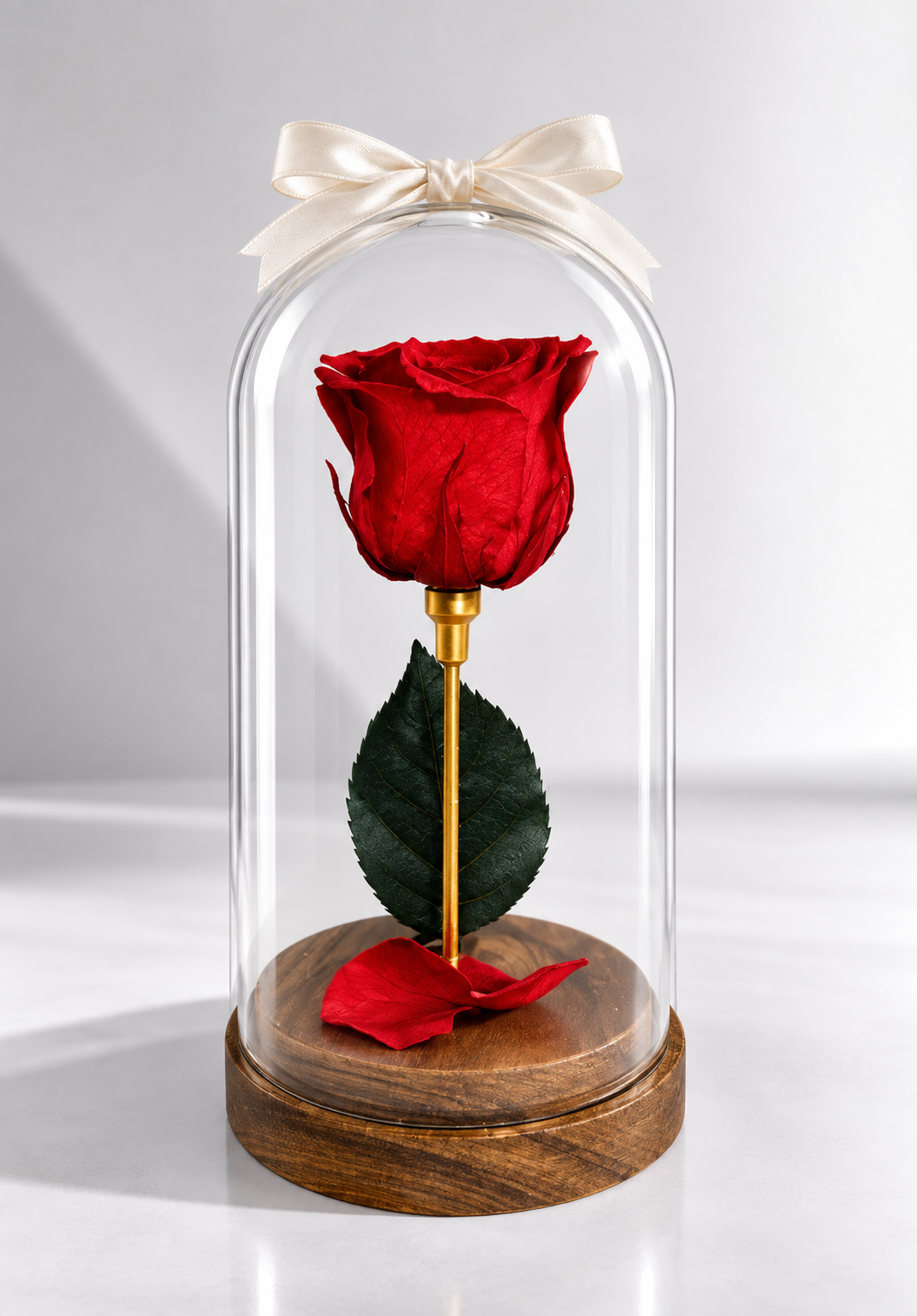 Natural Preserved Rose Dome - forever roses store 
