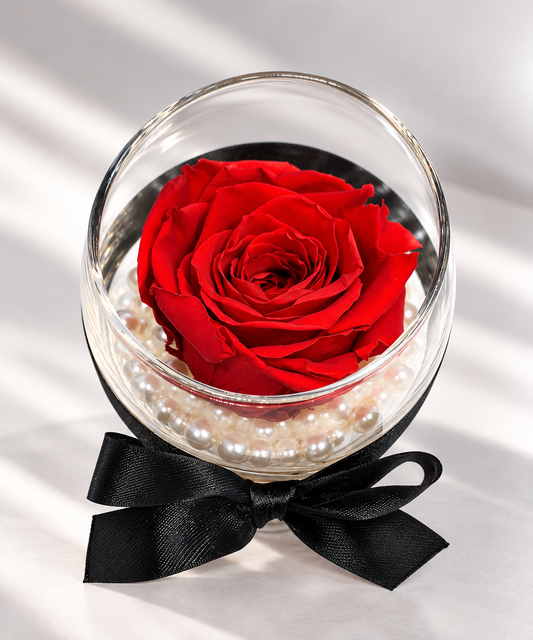 Timeless Pearl Rose