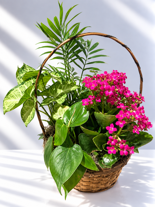 Garden of Joy Basket