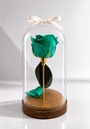 Natural Preserved Rose Dome - forever roses store 