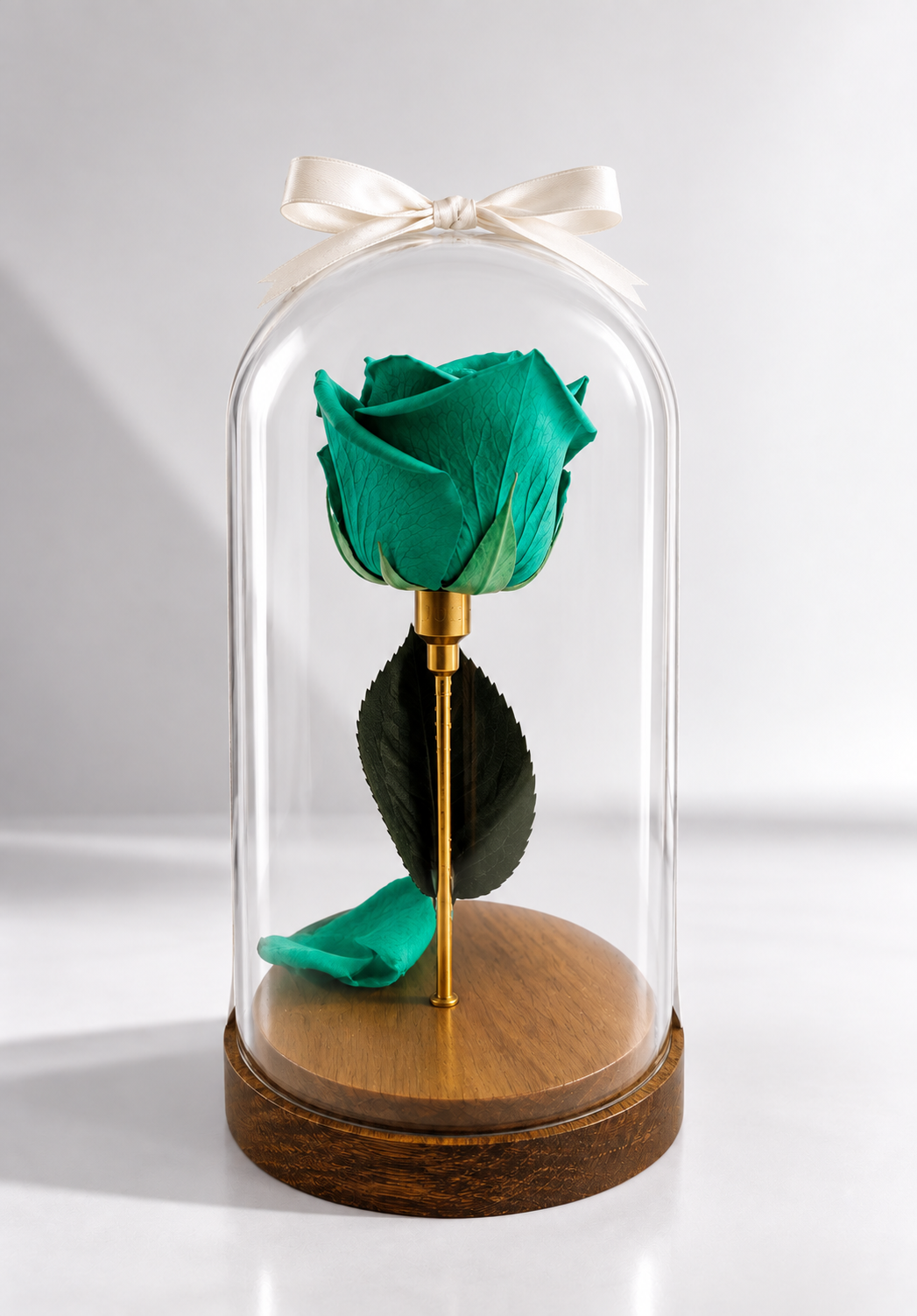 Natural Preserved Rose Dome - forever roses store 