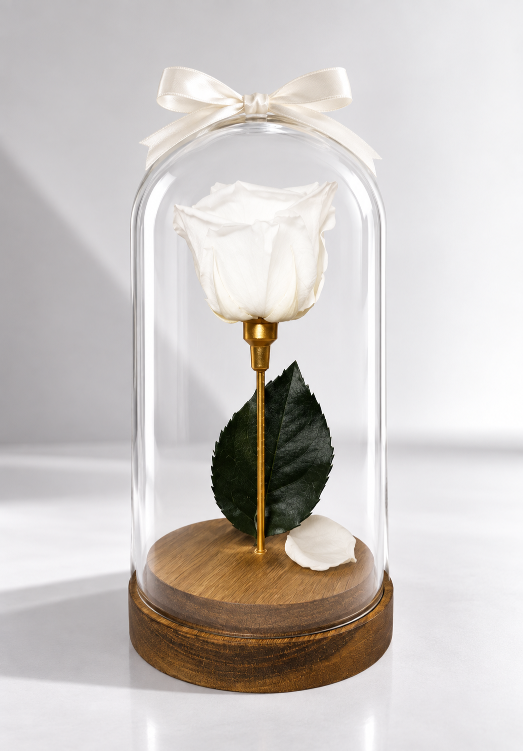 Natural Preserved Rose Dome - forever roses store 