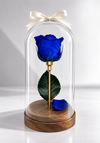 Natural Preserved Rose Dome - forever roses store 